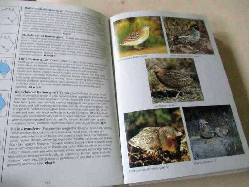BIRDS OF AUSTRALIA - PHOTOGRAPHIC GUIDE - THE AUSTRALIAN MUSEUM - JIM FLEGG & N LONGMORE