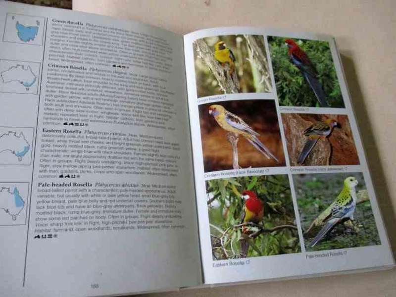 BIRDS OF AUSTRALIA - PHOTOGRAPHIC GUIDE - THE AUSTRALIAN MUSEUM - JIM FLEGG & N LONGMORE