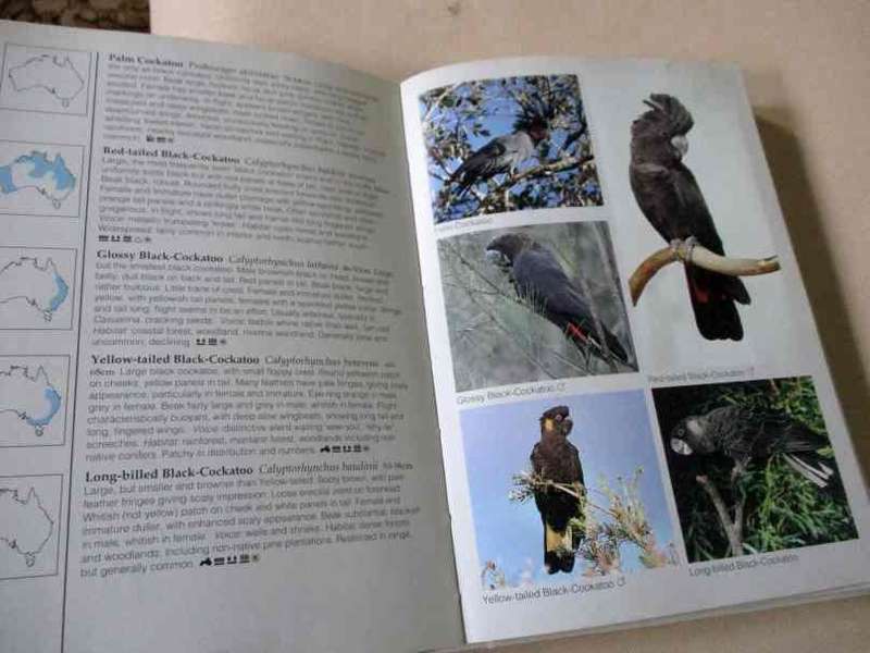 BIRDS OF AUSTRALIA - PHOTOGRAPHIC GUIDE - THE AUSTRALIAN MUSEUM - JIM FLEGG & N LONGMORE