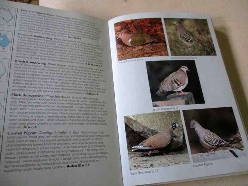 BIRDS OF AUSTRALIA - PHOTOGRAPHIC GUIDE - THE AUSTRALIAN MUSEUM - JIM FLEGG & N LONGMORE