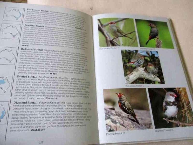 BIRDS OF AUSTRALIA - PHOTOGRAPHIC GUIDE - THE AUSTRALIAN MUSEUM - JIM FLEGG & N LONGMORE