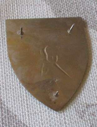 SADF - HARTBEESFONTEIN COMMANDO - SHOULDER FLASH ( original )