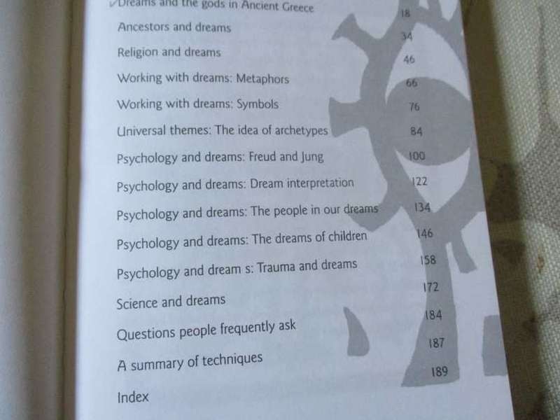 THE BOOK OF DREAMS - ELZAN FRANK
