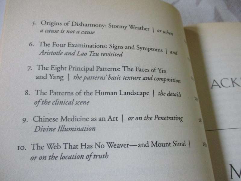 CHINESE MEDICINE - THE WEB THAT HAS NO WEAVER - TED J KAPTCHUK