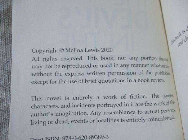 THE DEVIL'S IN THE DETAIL - MELINA LEWIS