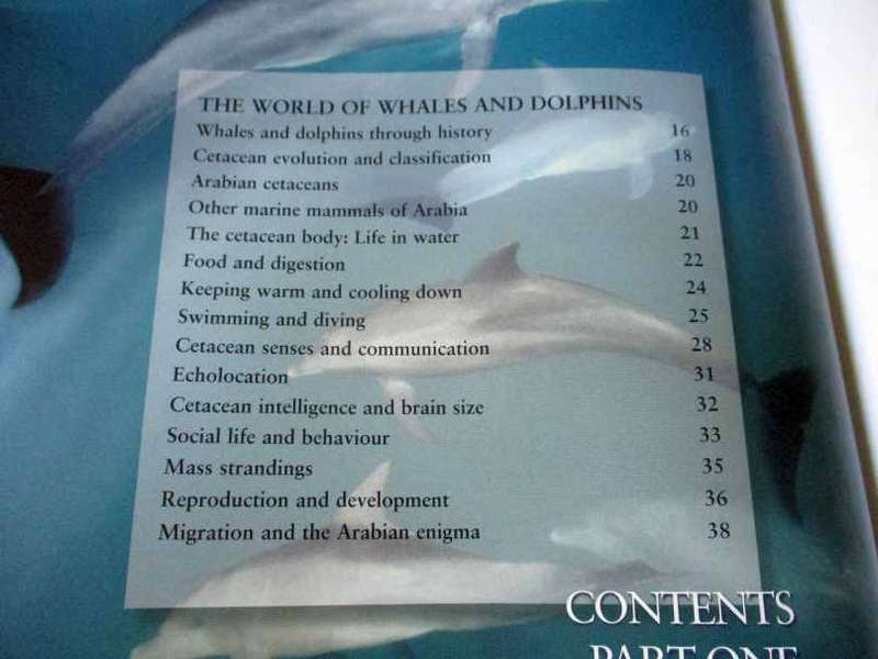WHALES & DOLPHINS OF ARABIA BY ROBERT BALDWIN