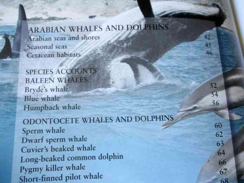 WHALES & DOLPHINS OF ARABIA BY ROBERT BALDWIN
