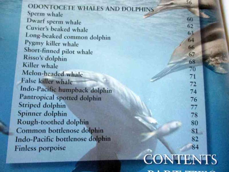 WHALES & DOLPHINS OF ARABIA BY ROBERT BALDWIN