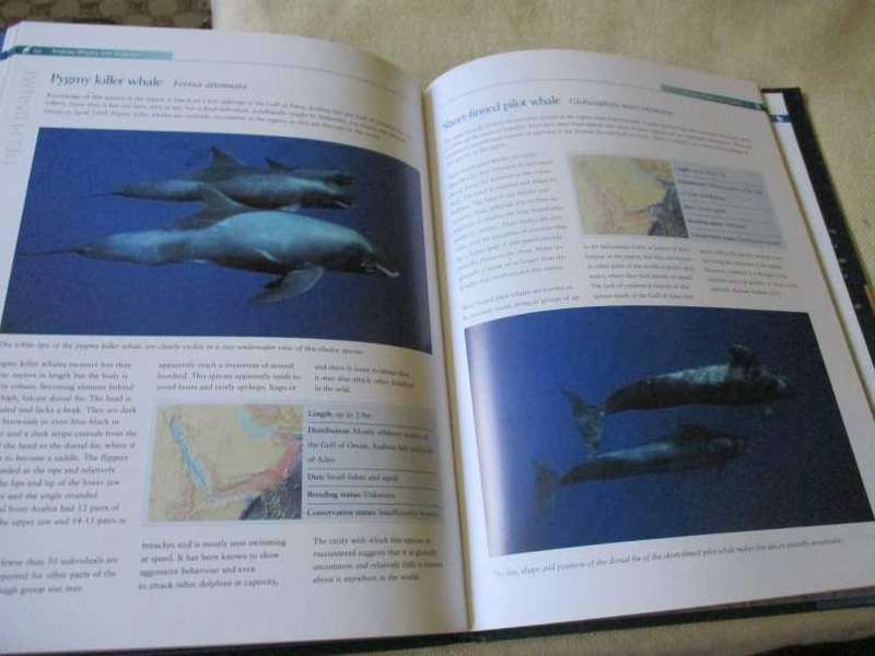 WHALES & DOLPHINS OF ARABIA BY ROBERT BALDWIN