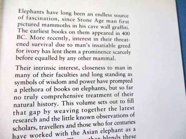 ELEPHANTS - CLIVE SPINAGE