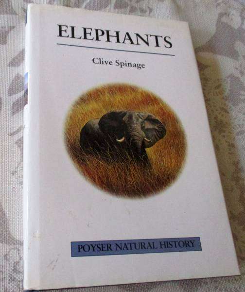 ELEPHANTS - CLIVE SPINAGE