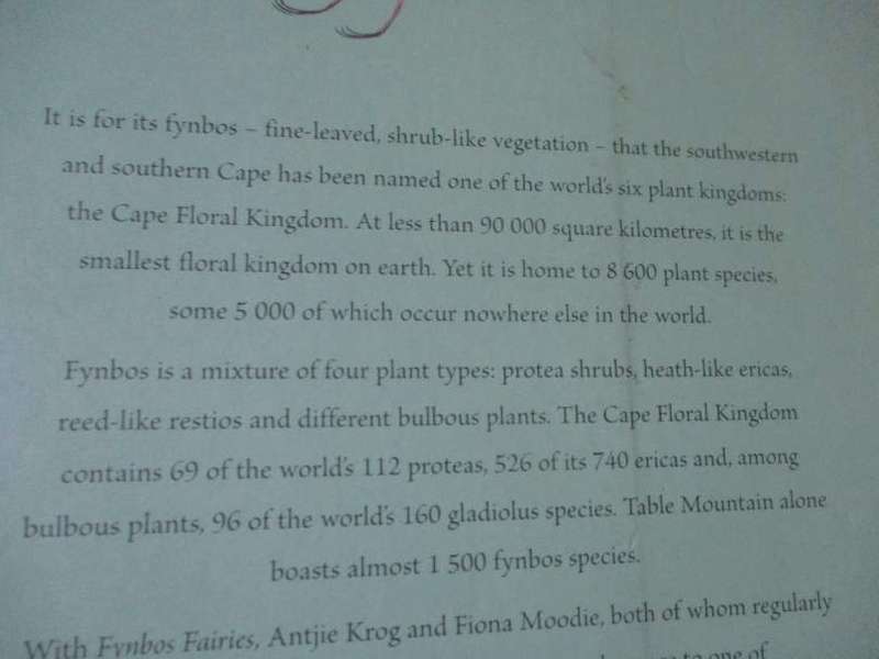 FYNBOS FAIRIES - ANTJIE KROG & FIONA MOODIE