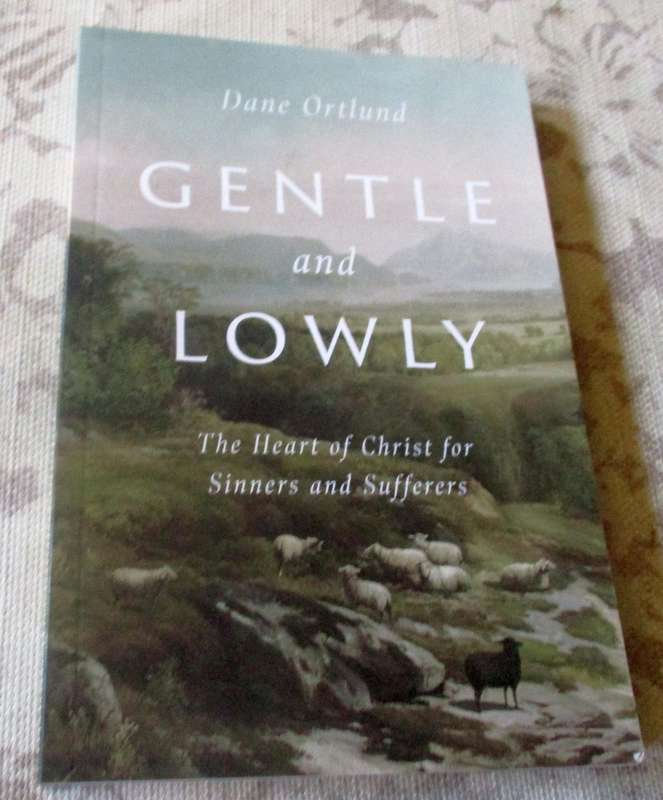 GENTLE AND LOWLY - THE HEART OF CHRIST FOR SINNERS AND SUFFERS - DANE ORTLUND