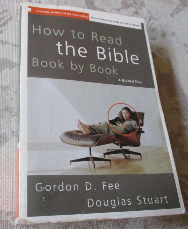 HOW TO READ THE BIBLE , BOOK BY BOOK - A GUIDE TOUR - GORDON D FEE & DOUGLAS STUART