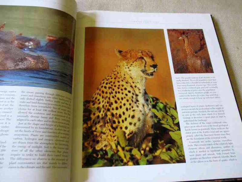 THE KRUGER PARK - WONDERS OF AN AFRICAN EDEN - NIGEL J DENNIS & BOB SCHOLES ( book has a minor bump