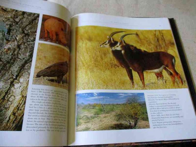 THE KRUGER PARK - WONDERS OF AN AFRICAN EDEN - NIGEL J DENNIS & BOB SCHOLES ( book has a minor bump