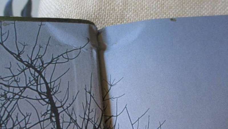 THE KRUGER PARK - WONDERS OF AN AFRICAN EDEN - NIGEL J DENNIS & BOB SCHOLES ( book has a minor bump