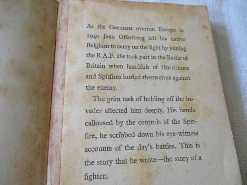 LONELY WARRIOR - THE JOURNAL OF BRITAIN FIGHTER PILOT JEAN OFFENBERG