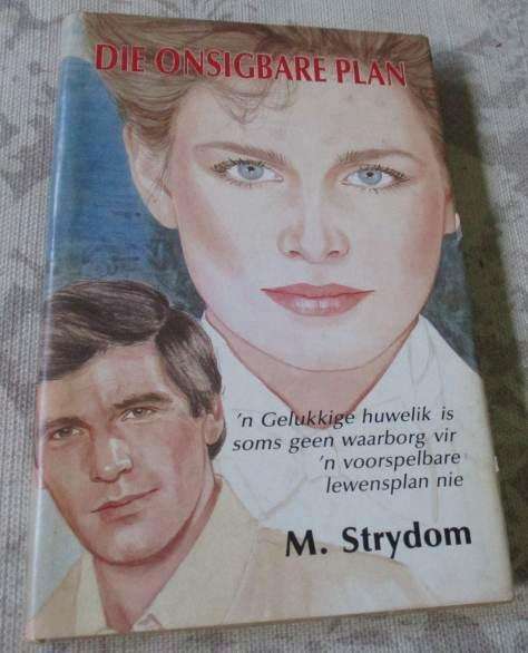 DIE ONSIGBARE PLAN - M STRYDOM