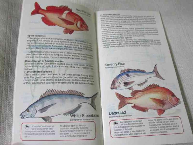 SAFMARINE GUIDE TO THE PROTECTION OF SOUTH AFRICA'S MARINE LIFE ( 80's )