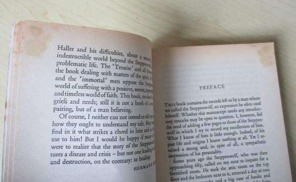 STEPPENWOLF - HERMAN HESSE