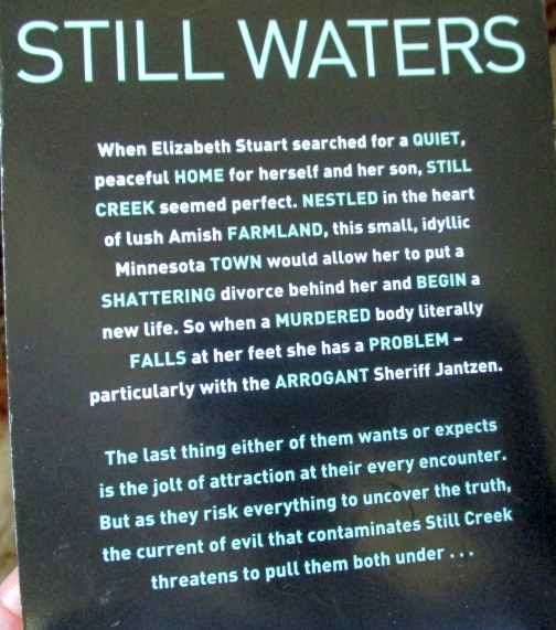 STILL WATERS - TAMI HOAG