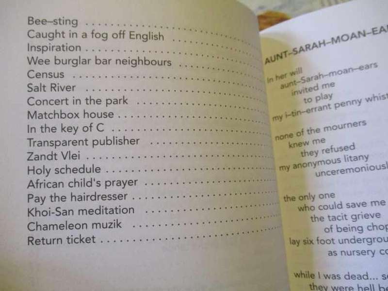TRAIN TO MITCHELLS PLAIN - POETRY - TYRONE APPOLLIS