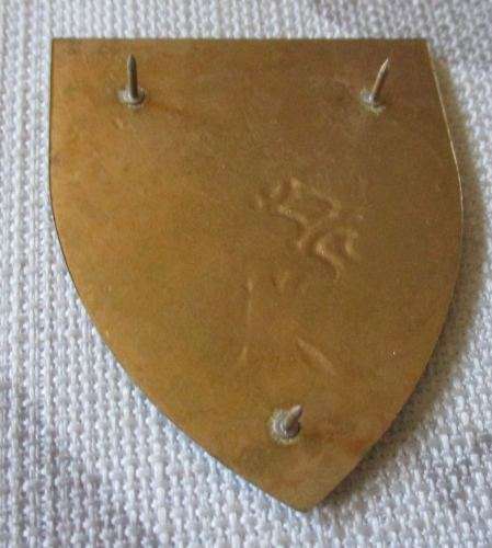 SADF - SCHWEIZER RENEKE COMMANDO - SHOULDER FLASH
