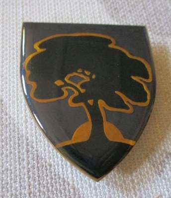 SADF - SCHWEIZER RENEKE COMMANDO - SHOULDER FLASH