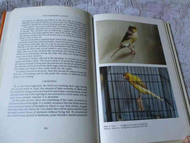 THE YORKSHIRE CANARY - ERNEST HOWSON