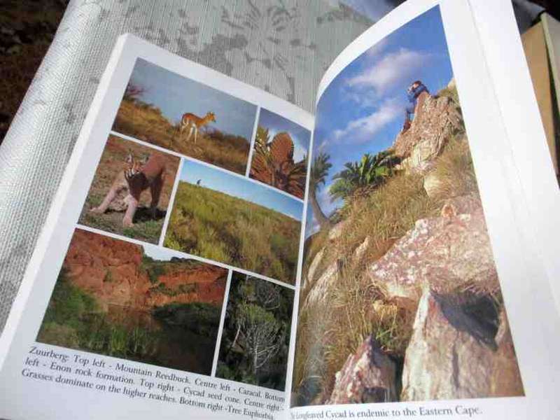 ADDO - MORE THAN JUST ELEPHANTS - COLIN URQUHART AND NORBERT KLAGES
