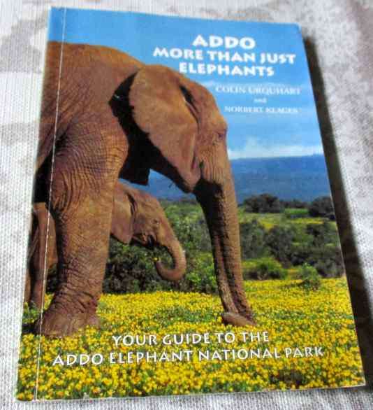ADDO - MORE THAN JUST ELEPHANTS - COLIN URQUHART AND NORBERT KLAGES