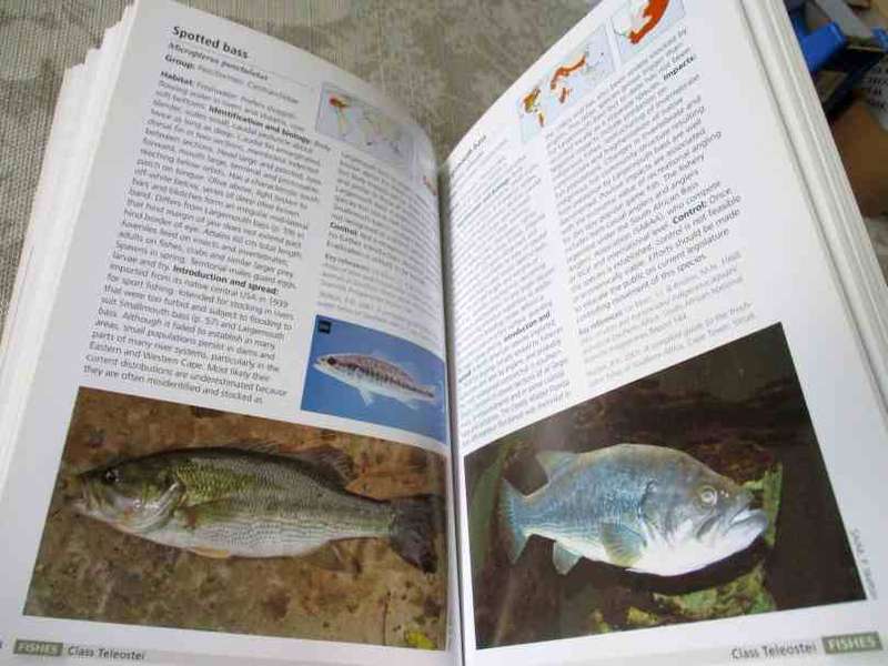 ALIEN &  INVASIVE ANIMALS - A SOUTH AFRICAN PERSPECTIVE - MIKE PICKER & CHARLES GRIFFITHS