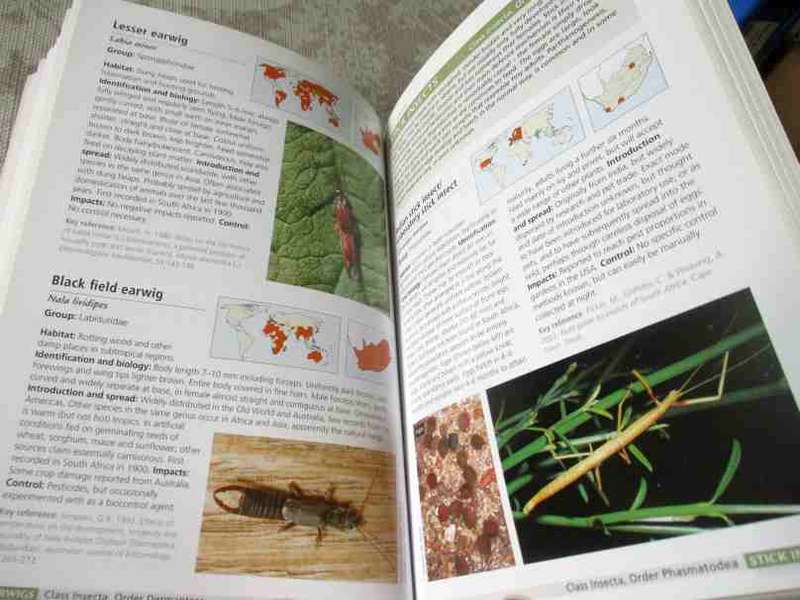 ALIEN &  INVASIVE ANIMALS - A SOUTH AFRICAN PERSPECTIVE - MIKE PICKER & CHARLES GRIFFITHS
