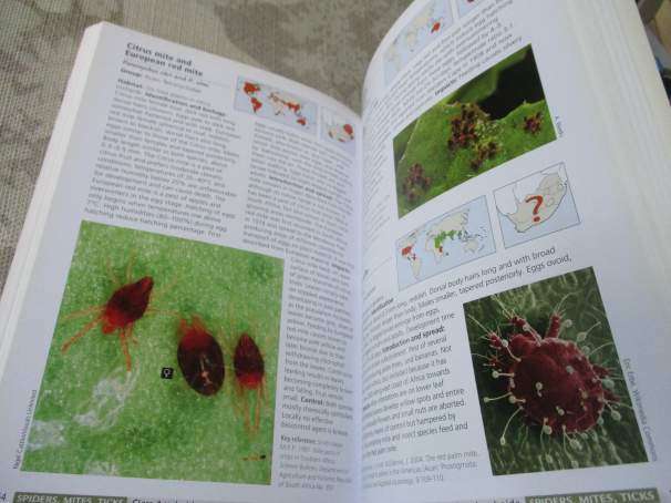 ALIEN &  INVASIVE ANIMALS - A SOUTH AFRICAN PERSPECTIVE - MIKE PICKER & CHARLES GRIFFITHS