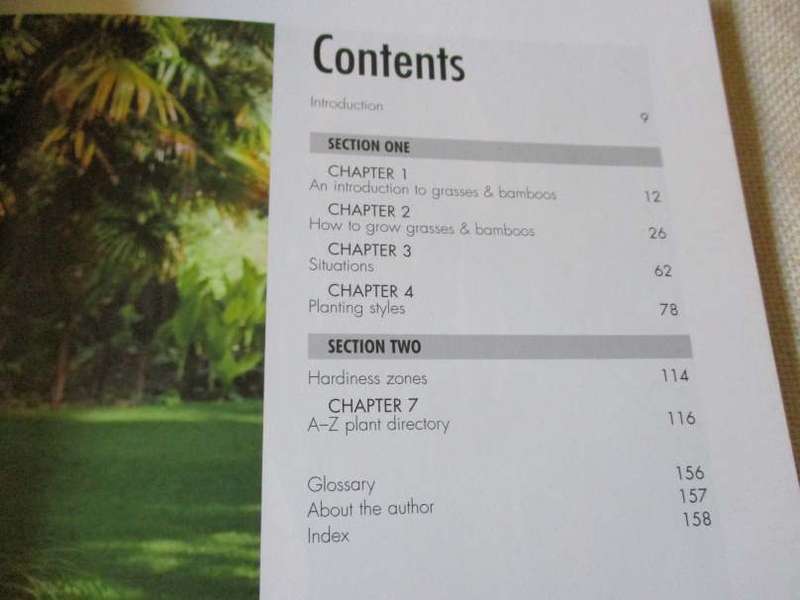 SUCCESS WITH BAMBOOKS & ORNAMENTAL GRASSES - LUCINDA COSTELLO