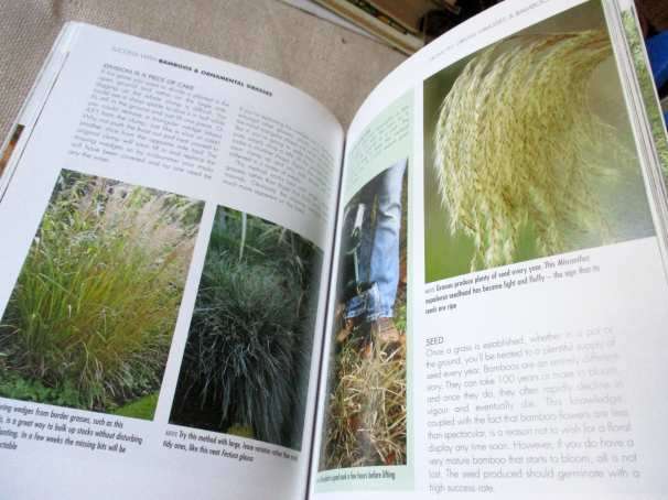 SUCCESS WITH BAMBOOKS & ORNAMENTAL GRASSES - LUCINDA COSTELLO