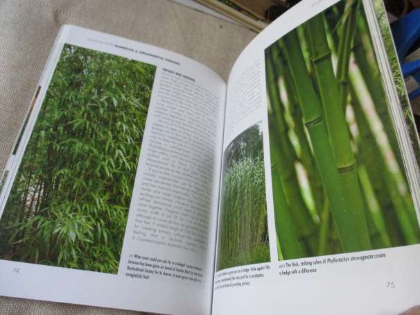SUCCESS WITH BAMBOOKS & ORNAMENTAL GRASSES - LUCINDA COSTELLO