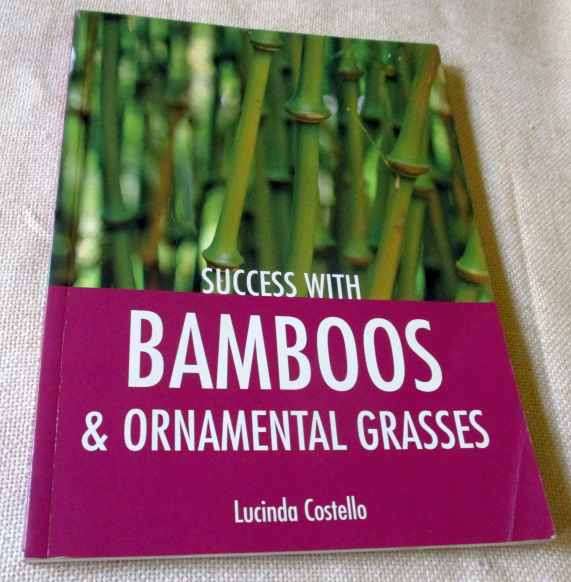 SUCCESS WITH BAMBOOKS & ORNAMENTAL GRASSES - LUCINDA COSTELLO