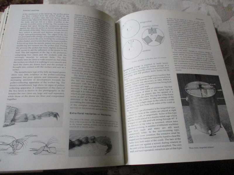 THE ILLUSTRATED ENCYCLOPEDIA OF BEEKEEPING - ROGER MORSE AND TED HOOPER