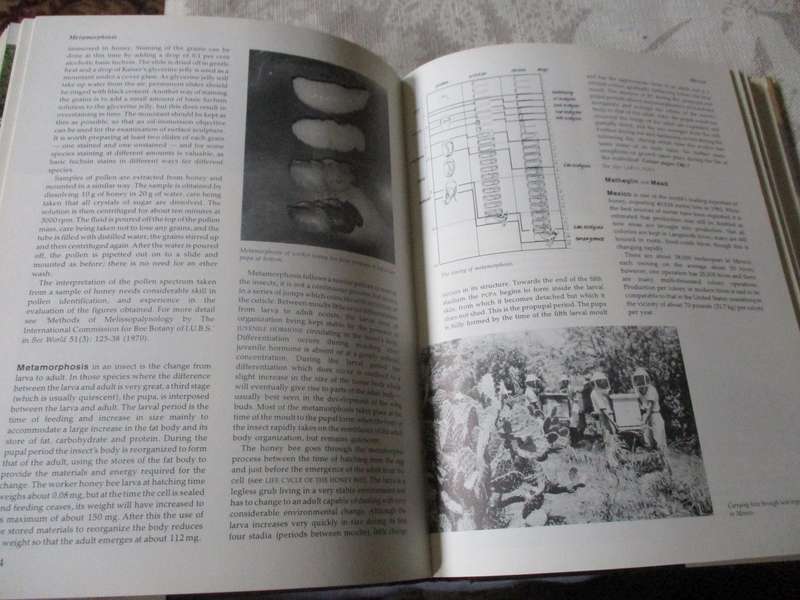 THE ILLUSTRATED ENCYCLOPEDIA OF BEEKEEPING - ROGER MORSE AND TED HOOPER