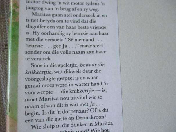 BEWAAR DIE KWIKKERTJIE - NITA GRIESSEL
