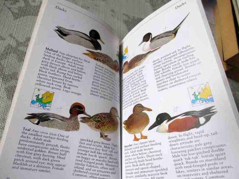 BIRDS OF BRITAIN AND EUROPE - JIM FLEGG - GREEN GUIDE