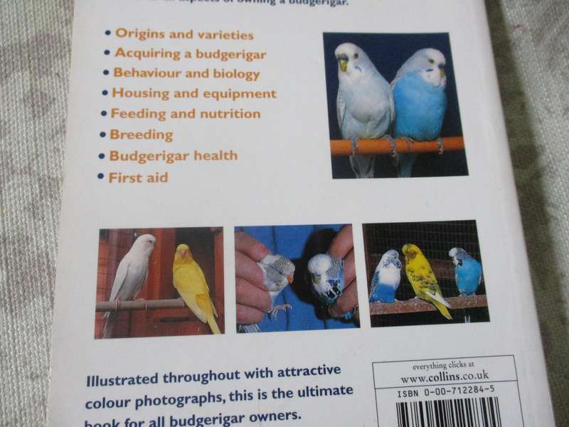BUDGERIGAR - DAVID ALDERTON