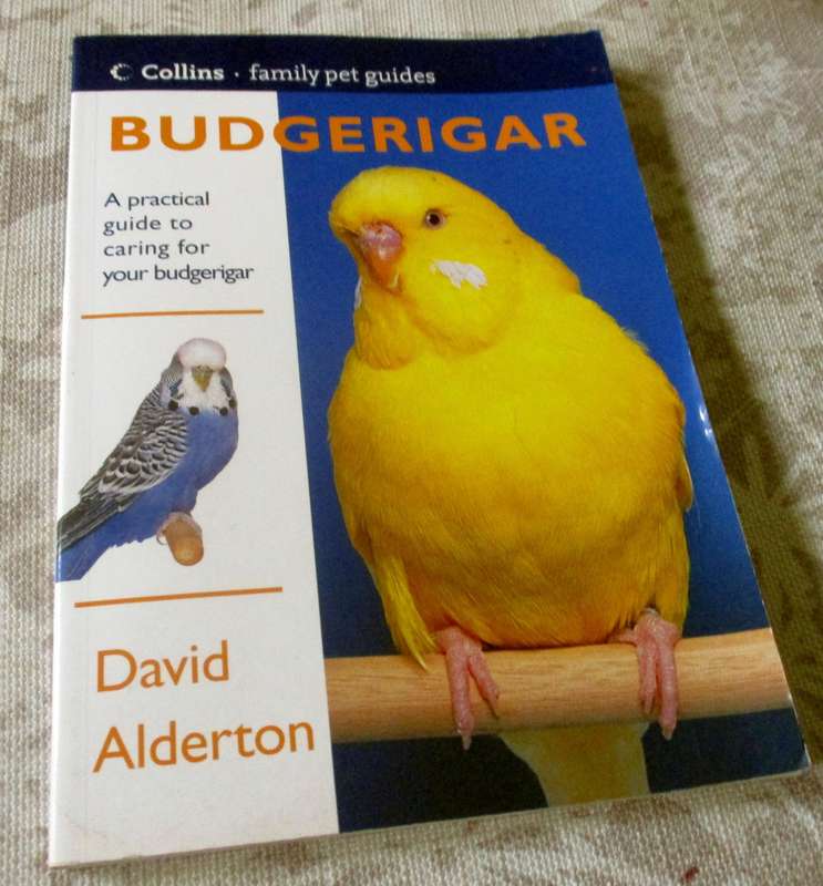 BUDGERIGAR - DAVID ALDERTON