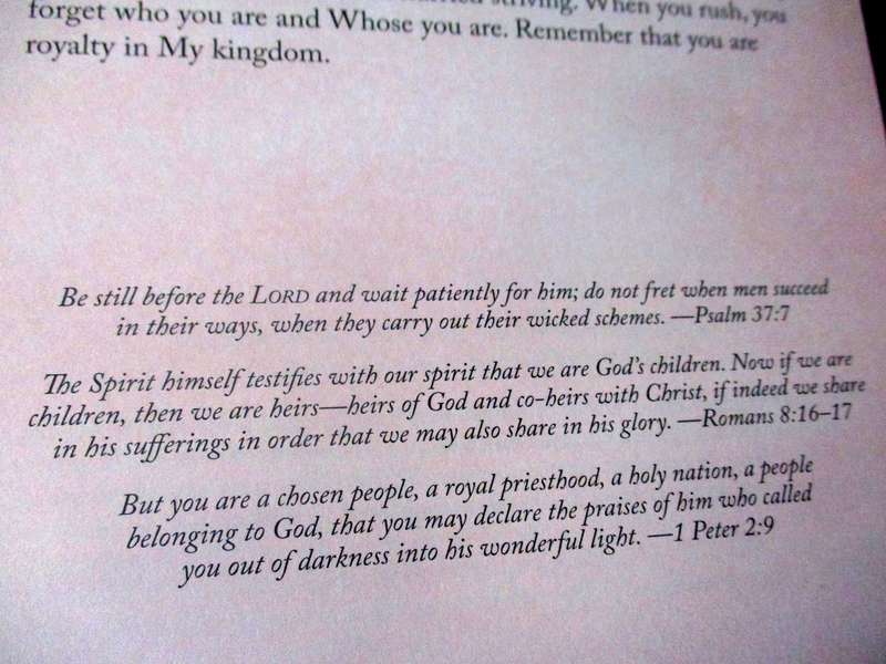 JESUS CALLING - ENJOYING PEACE IN HIS PRESENCE - AN INSPIRATIONAL DAYSPRING DAYBRIGHTENER - SARAH ..