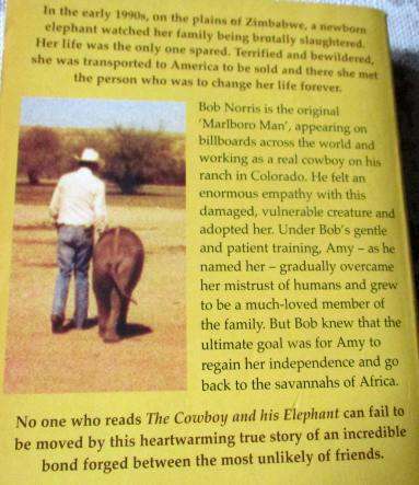 THE COWBOY AND HIS ELEPHANT - MALCOLM MACPHERSON