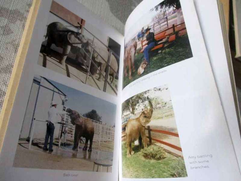 THE COWBOY AND HIS ELEPHANT - MALCOLM MACPHERSON