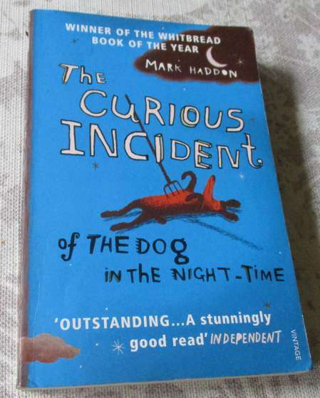 THE CURIOUS INCIDENT OF THE DOG IN THE NIGHT-TIME - MARK HADDON