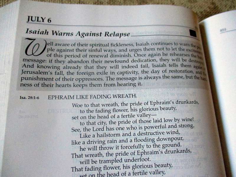 THE DAILY BIBLE - IN CHRONOLOGICAL ORDER 365 DAILY READINGS - NEW INTERNATIONAL VERSION